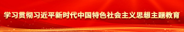 操女大学生网站学习贯彻习近平新时代中国特色社会主义思想主题教育